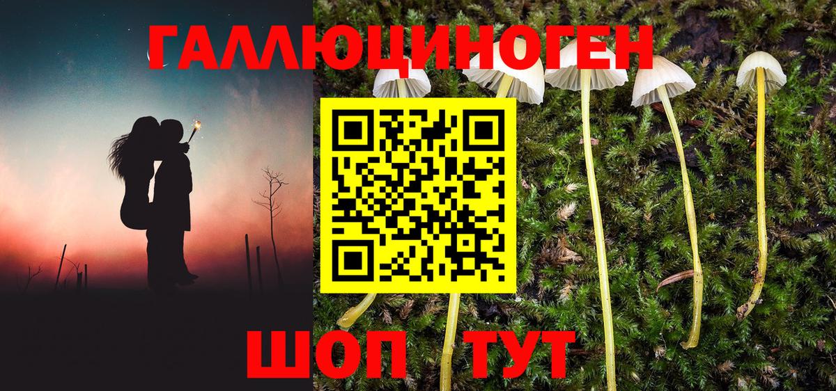 Псилоцибиновые грибы Cubensis  Галлюциногенные грибы ЛСД  Вход с VPN  Киров 