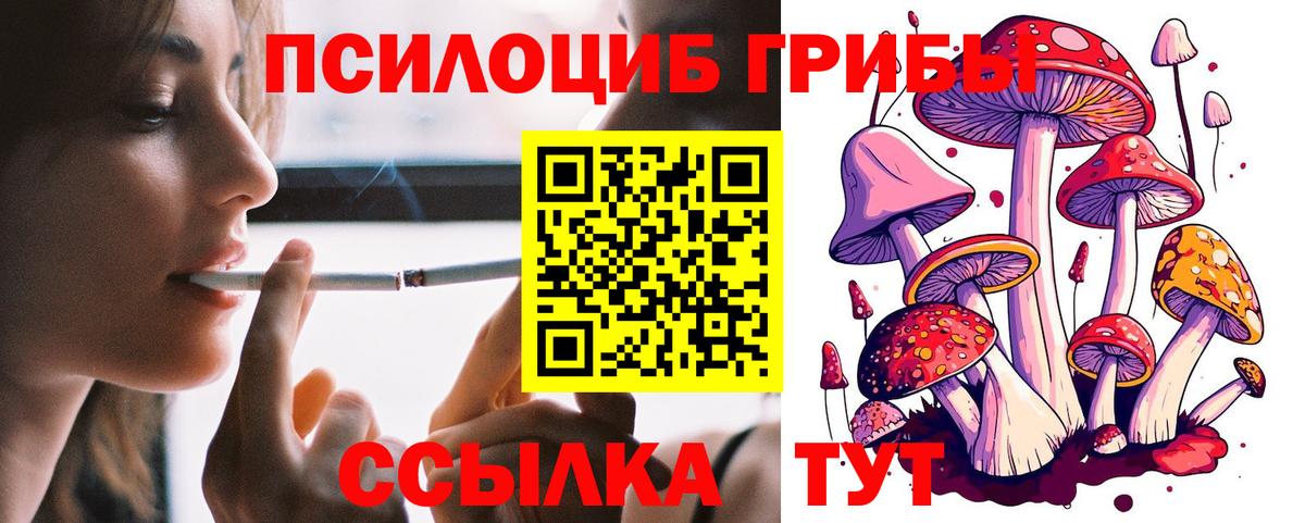 Псилоцибиновые грибы ЛСД Киров
